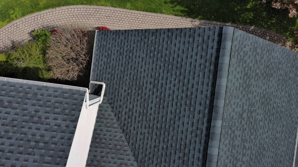 Best Roof Moss and Algae Removal  in Waunakee, WI